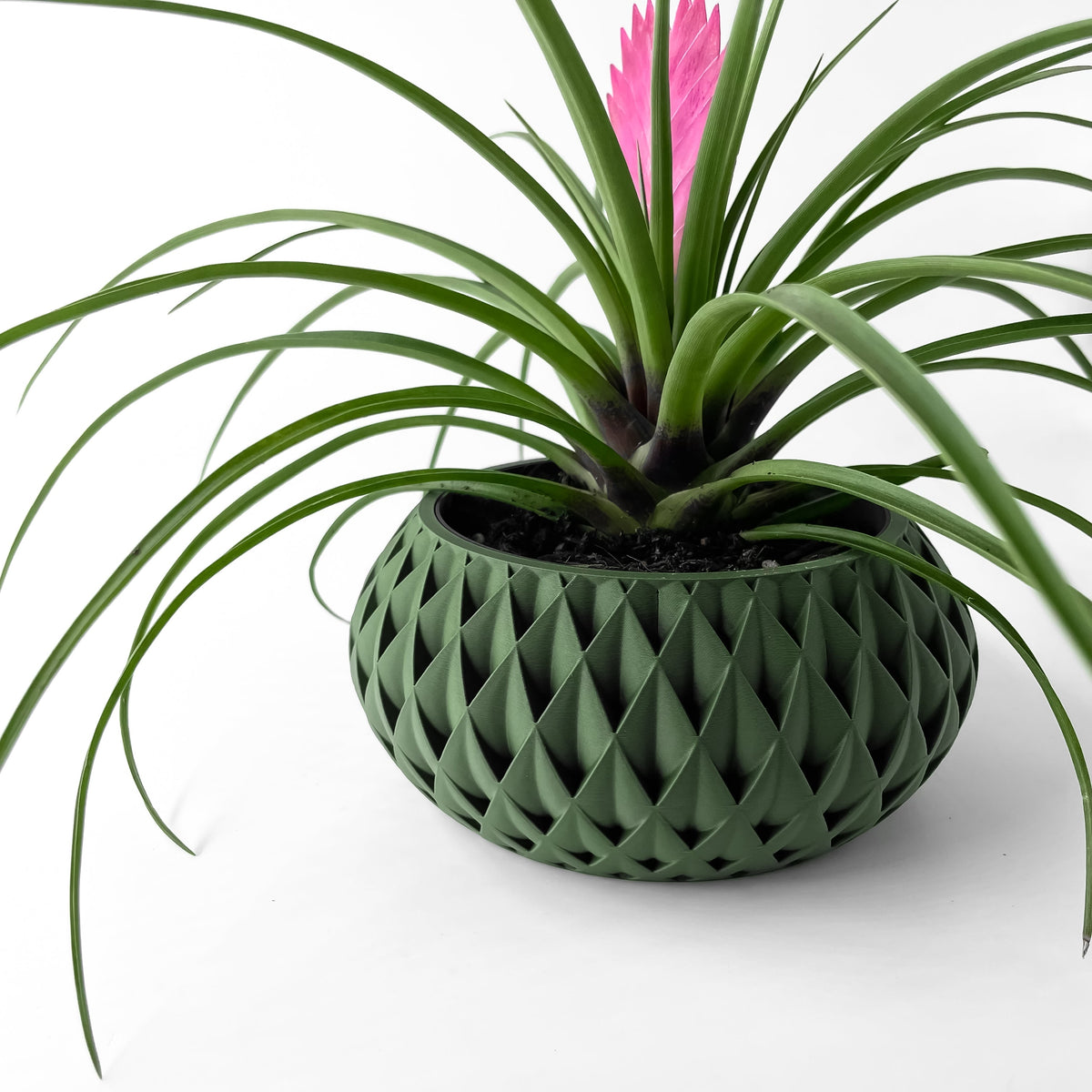 Cinor Planter