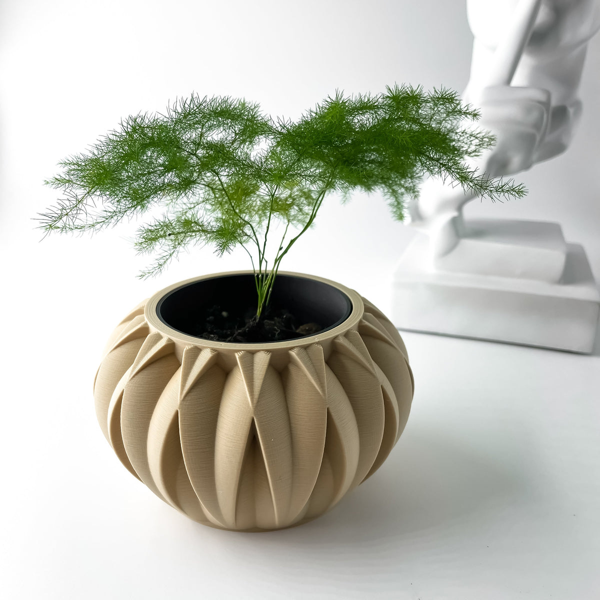 Haldon Planter