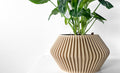 Hendro Planter