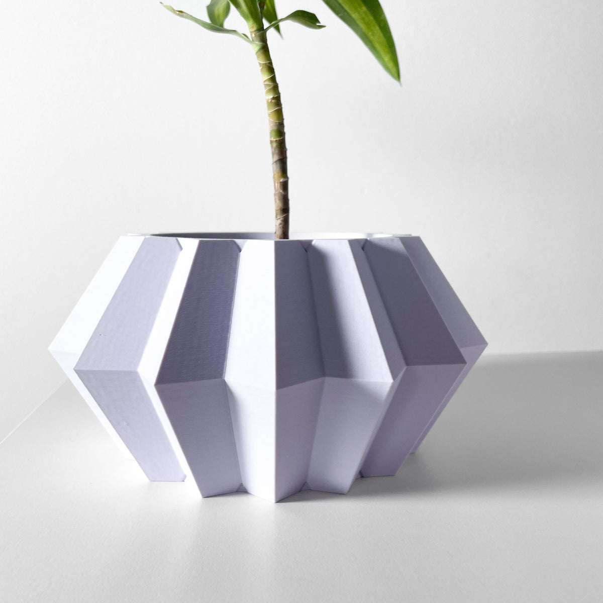 Jun Planter