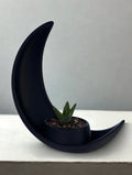 Crescent Moon Planter 2