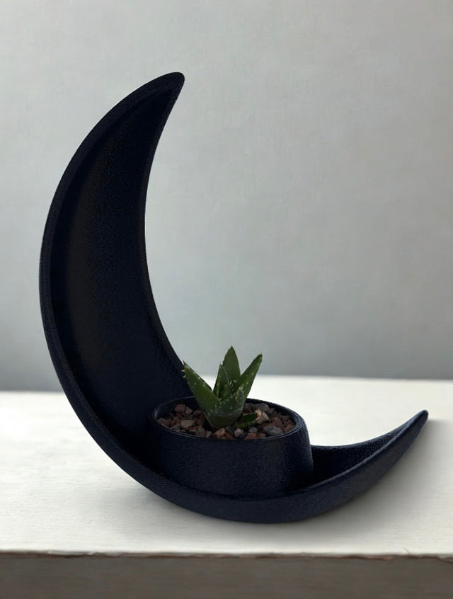 Crescent Moon Planter 2