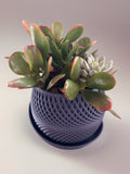The KInetic Planter