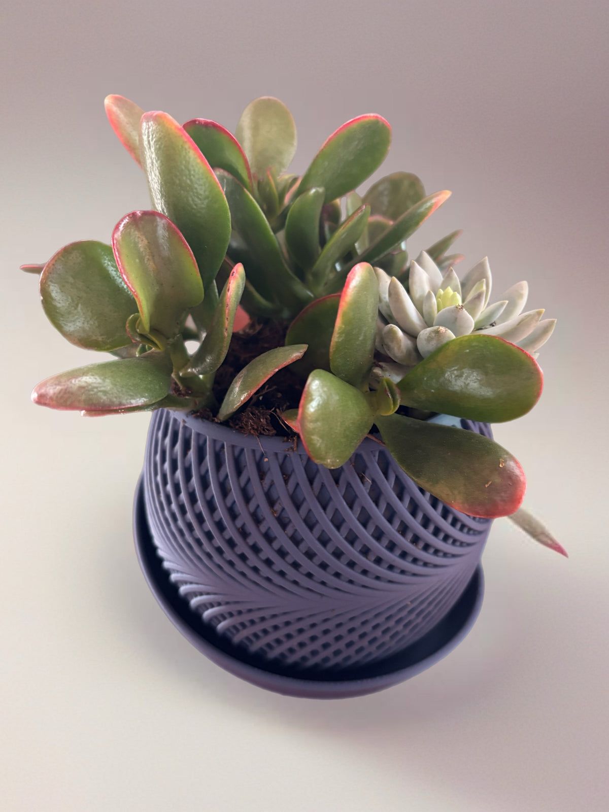 The KInetic Planter