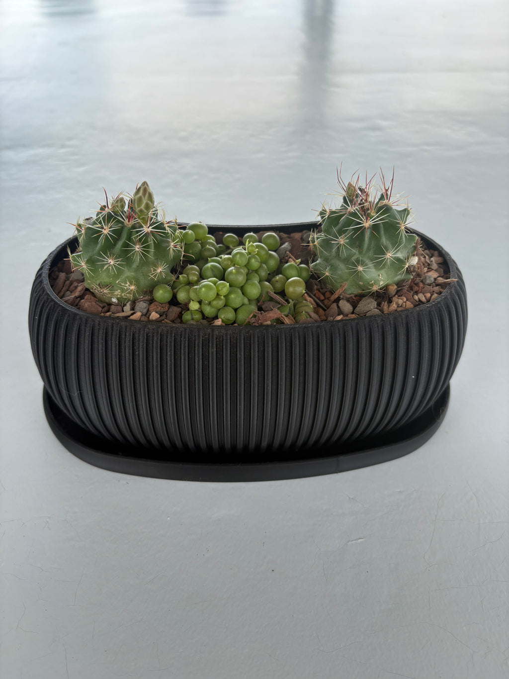 The Terra Planter