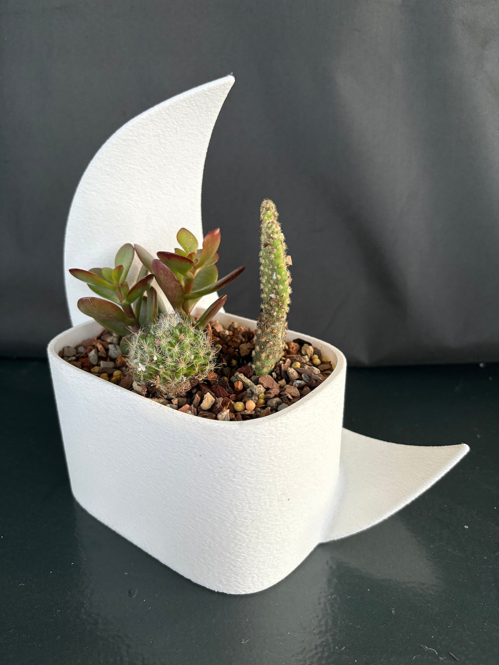 Crescent Moon Planter