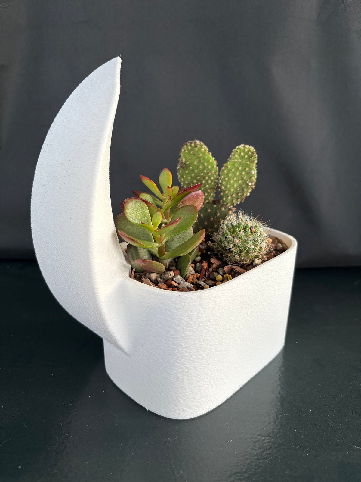 Crescent Moon Planter