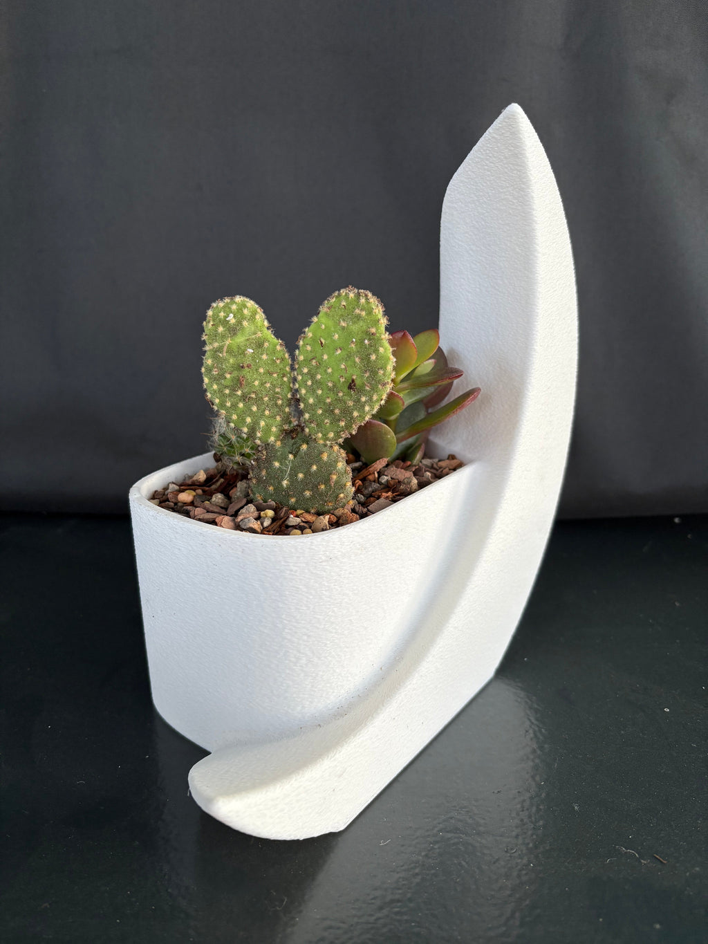 Crescent Moon Planter