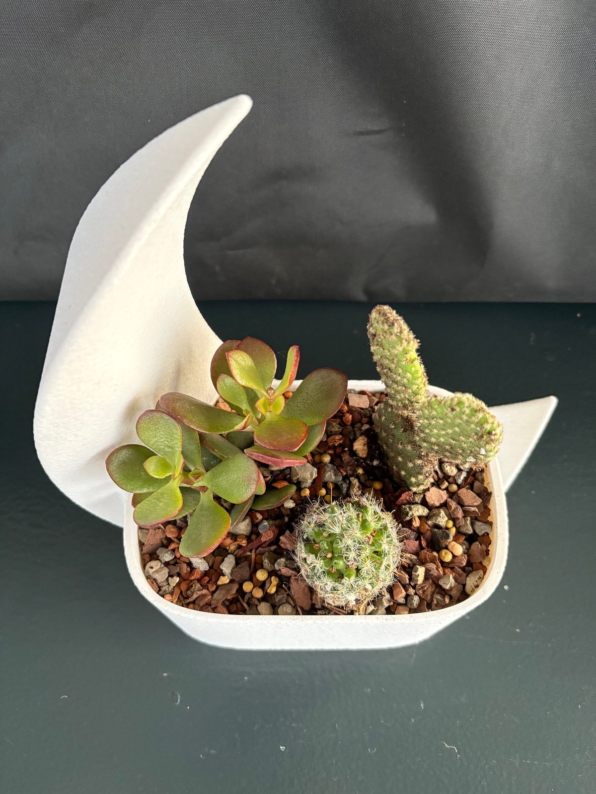 Crescent Moon Planter