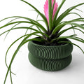 Avex Planter