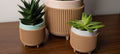 The Elwood Planter