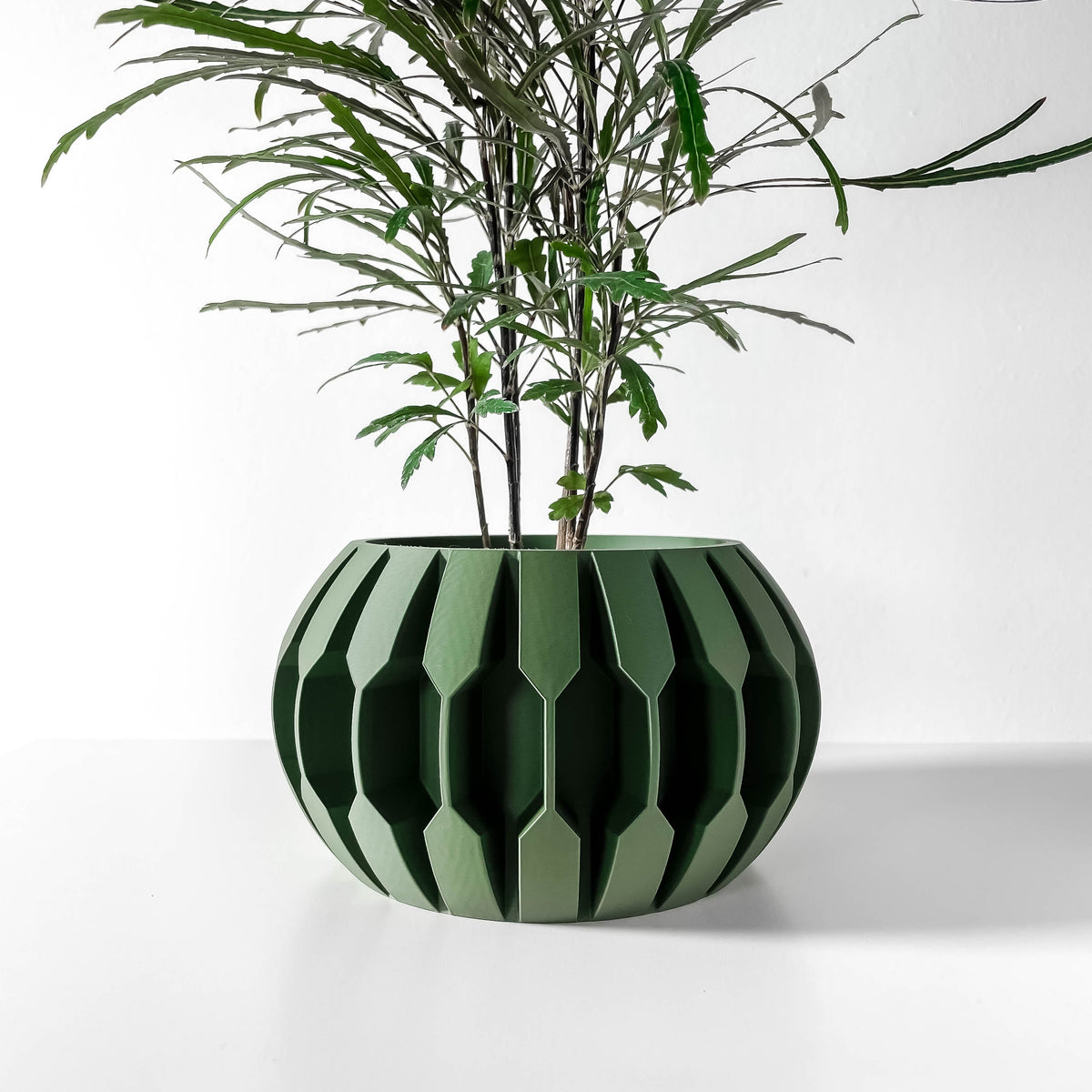 Gervi Planter