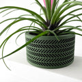 Quen Planter