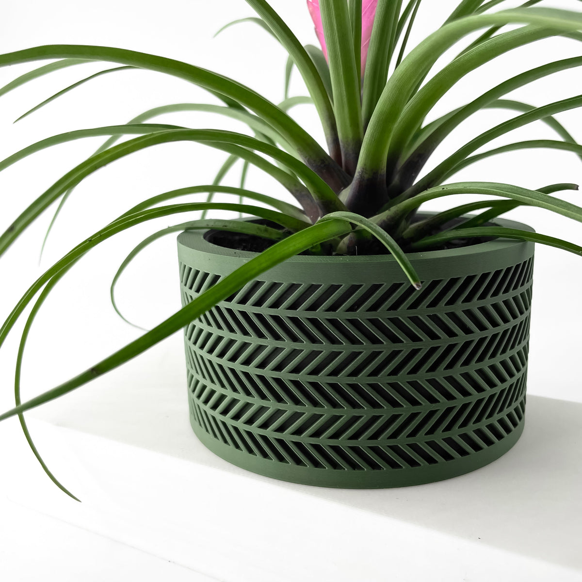 Quen Planter